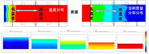 塗膜内の乾燥状態(溶質濃度分布)