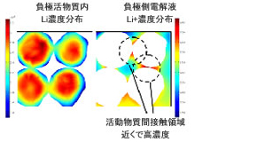 活物質断面のLi濃度分布(放電時)