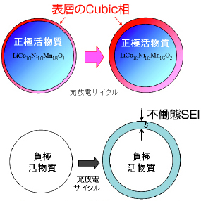 正極(図上)および負極(図下)におけるサイクル劣化モデル