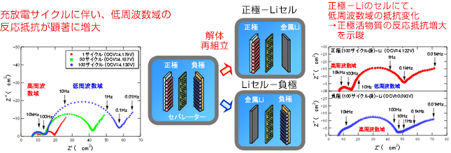 内部抵抗分離解析