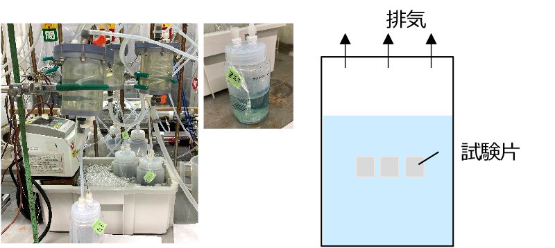 浸漬試験の外観図および模式図