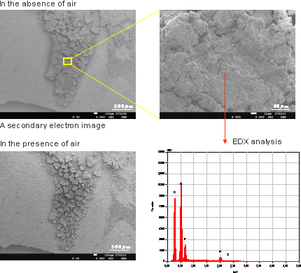 SEM images of the surface of the negative electrode of a depleted Li-ion battery
