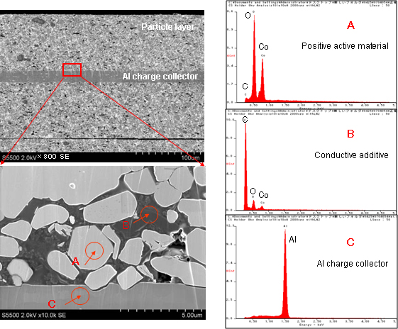 SEM images of a cross section of the positive electrode of a Li-ion battery