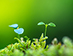 Environment