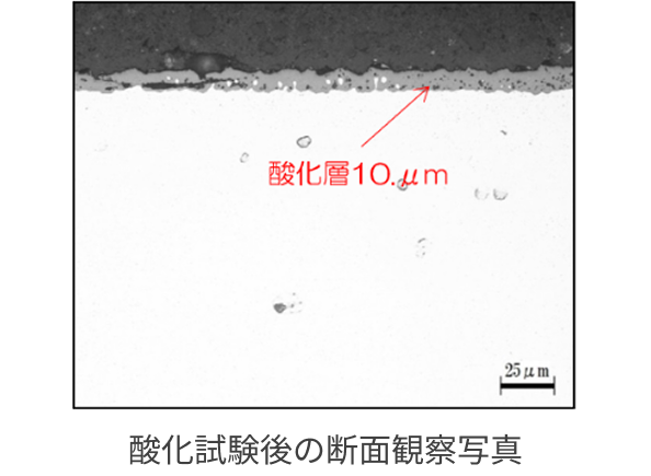 酸化試験後の断面観察写真
