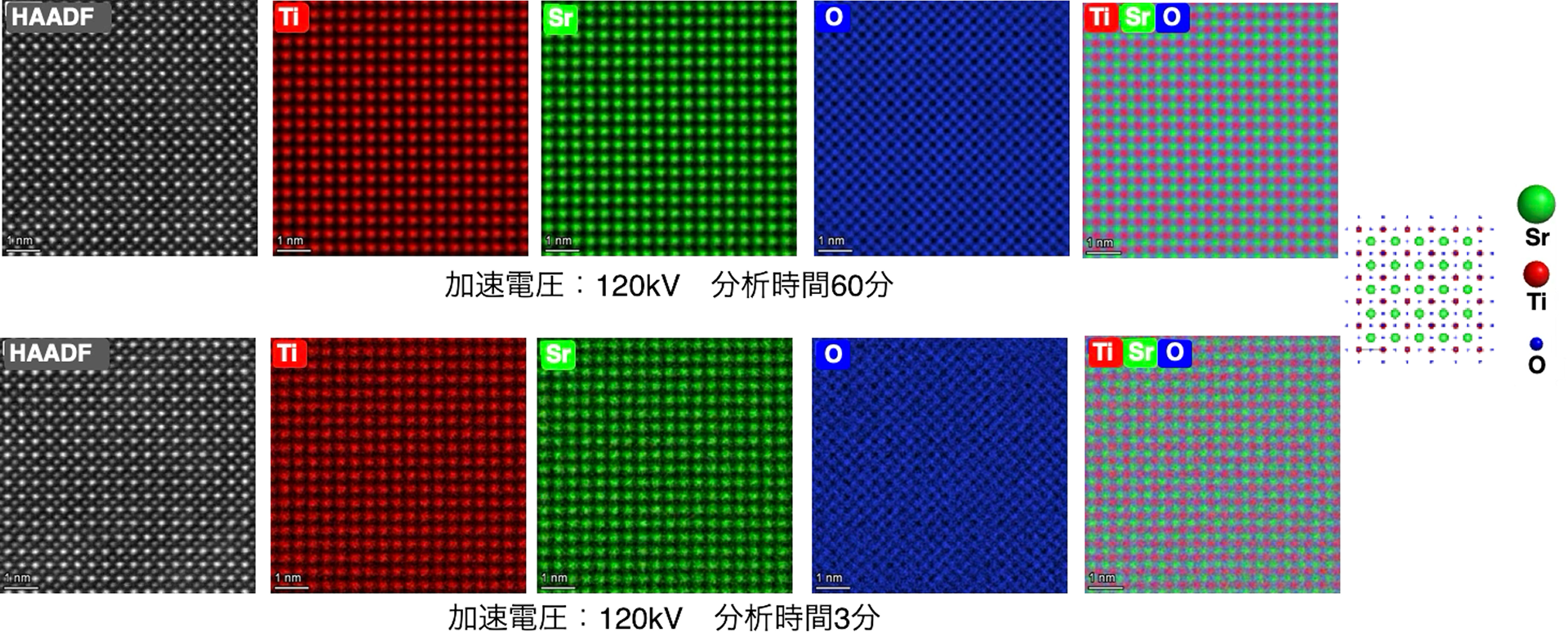 SrTiO3の原子分解能EDXマッピング像