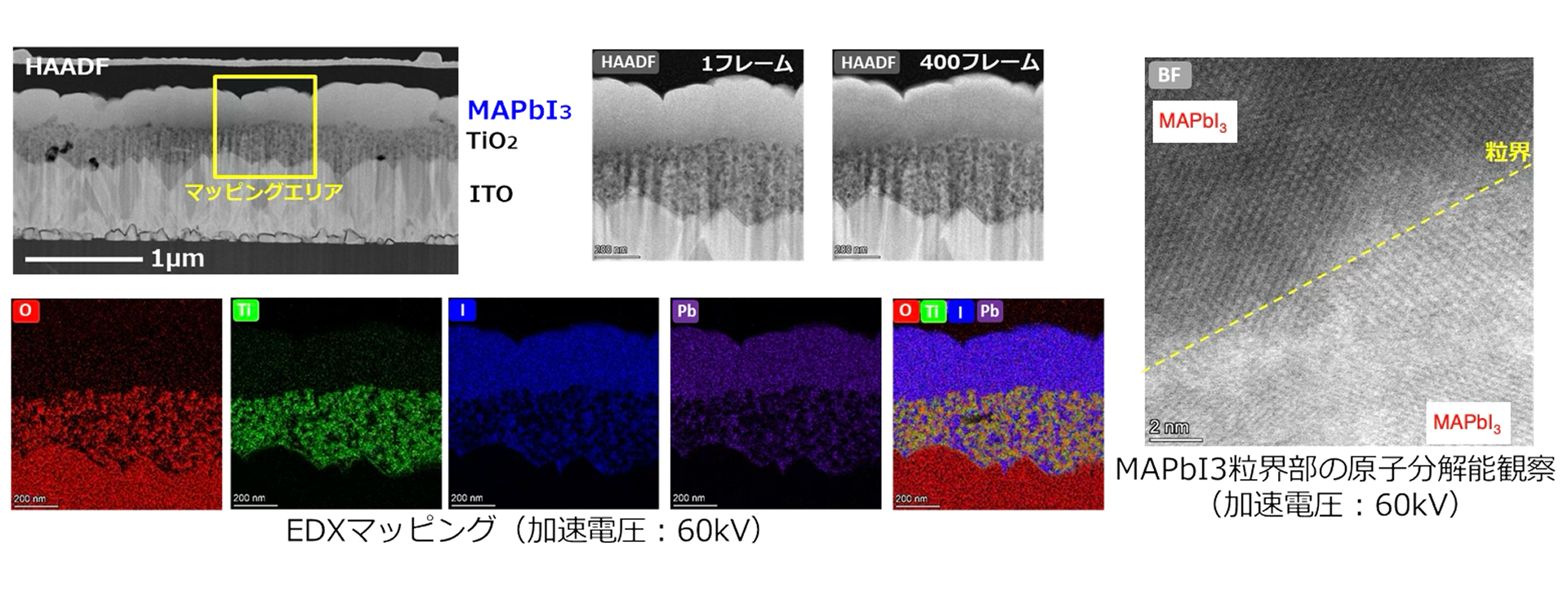 低ダメージ観察