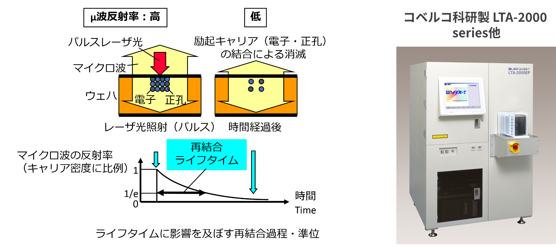 ライフタイム測定の画像