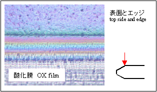 [KOBELCO/LEO]Edge Microscope